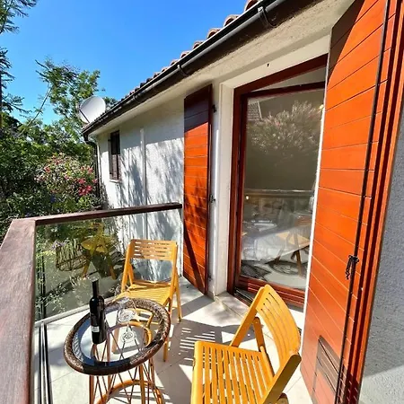 Dinka Jelsa (Hvar)